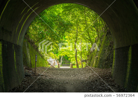 JR福知山線放棄遠足徑風景（兵庫縣寶塚市Tamase） 56972364