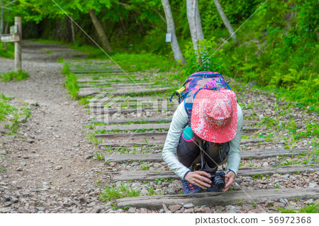 A camera girl on a hiking course on the trace of abandoned JR Fukuchiyama Line (Tamase, Takarazuka-shi, Hyogo) 56972368