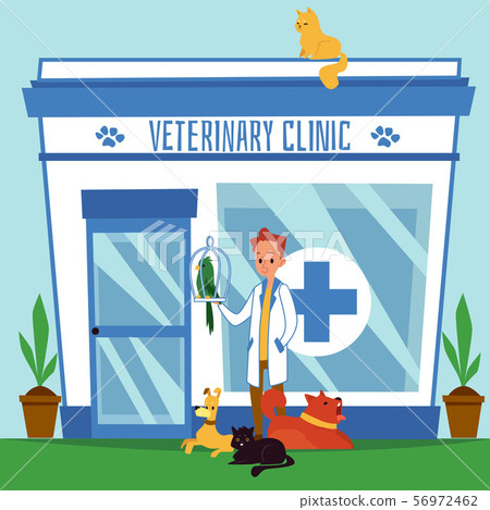 The Exterior Of The Veterinary Clinic With The Stock Illustration 56972462 Pixta