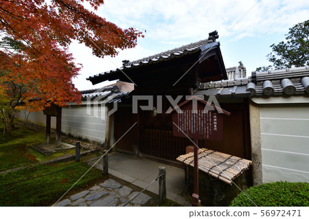 Autumn leaves of Kensenan Autumn leaves of Kensenan 56972471