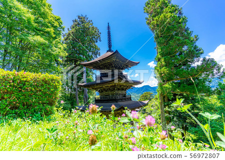 National Treasure Daiho-ji Mie Tower Aoki Village [Nagano Prefecture] 56972807