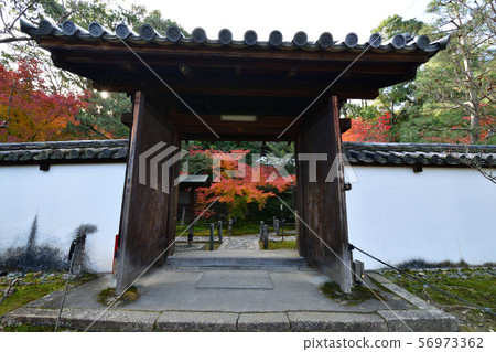 Autumn leaves of Ryoanji 56973362