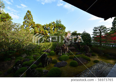 Autumn leaves of Kensenan Autumn leaves of Kensenan 56973765