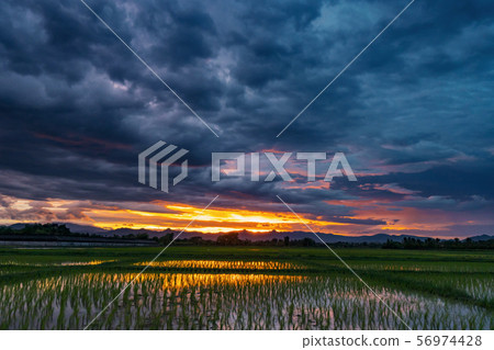 Natural scenic beautiful field sunset and storm Natural scenic beautiful field sunset and storm 56974428