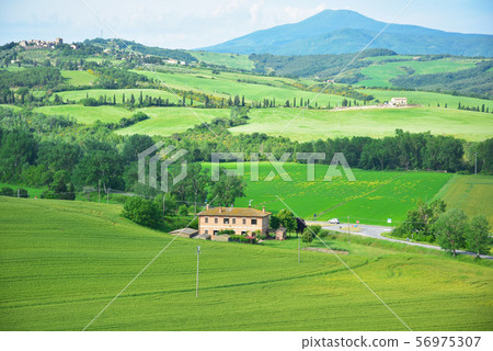 風水清新。 風水清新。 56975307