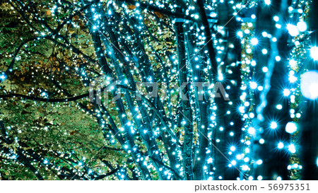 照明（丸之內） 56975351