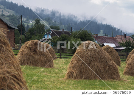 stacks with Karpatian hills at background 56976099