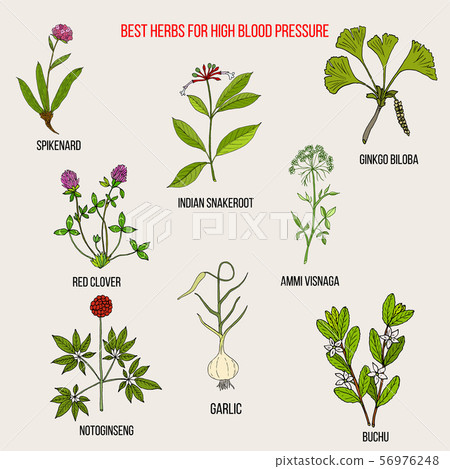 Best herbs to control high blood pressure 56976248