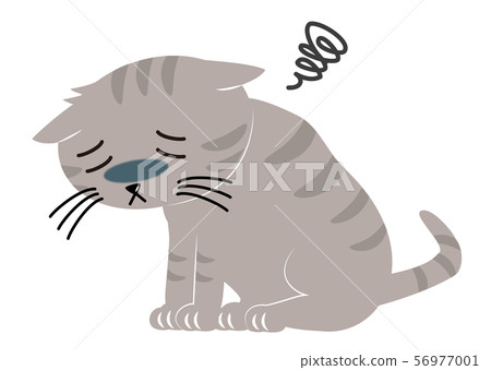 Cheerless cat Cheerless cat 56977001