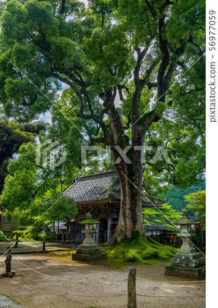 Ojoji Temple Ojoji Temple 56977059