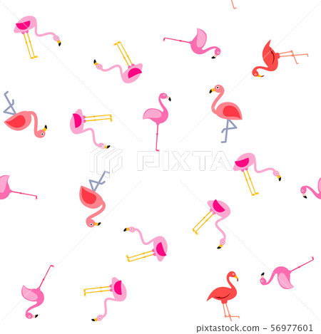 Bird Flamingo Vector Seamless Pattern 56977601
