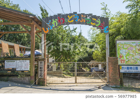 Shibukawa Zoo Shibukawa Zoo 56977985