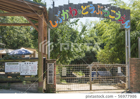 Shibukawa Zoological Park, Tamano City, Okayama Prefecture Shibukawa Zoological Park, Tamano City, Okayama Prefecture 56977986