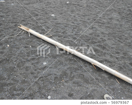 竹子在Miho Matsubara的海岸沖走了 56979367