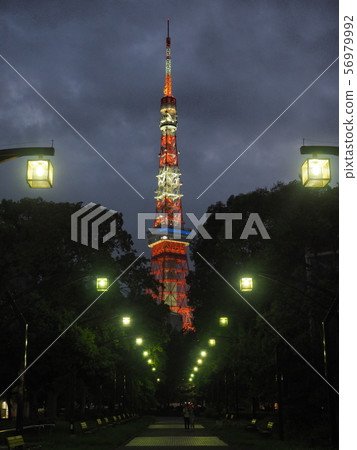 在東京鐵塔之後的一排樹 56979992