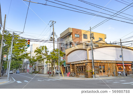 Chuo-ku, Niigata cityscape Keyaki-dori Yoneyama 56980788