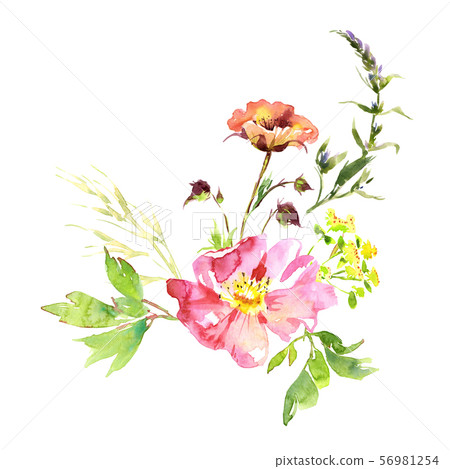 Wedding bridal romanric rustic warm bouquet. Hand drawing watercolor pink and purple and orange 56981254