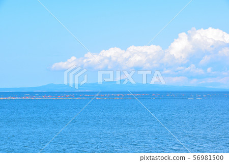 Kunashiri Island 56981500