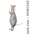 Illustration of a mouse standing with his right hand up (1) 56981545