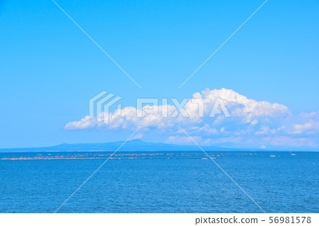 Kunashiri Island 56981578