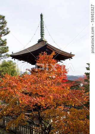 Jogakkoji寺廟秋葉 56981827