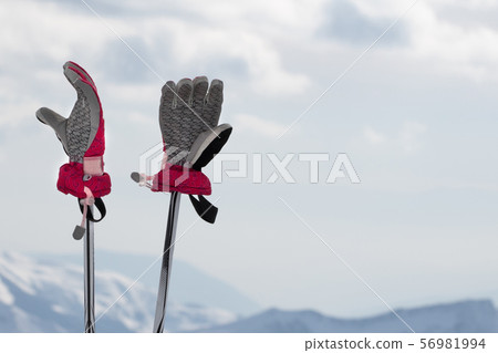 Ladies gloves on ski poles and snowy winter Ladies gloves on ski poles and snowy winter 56981994