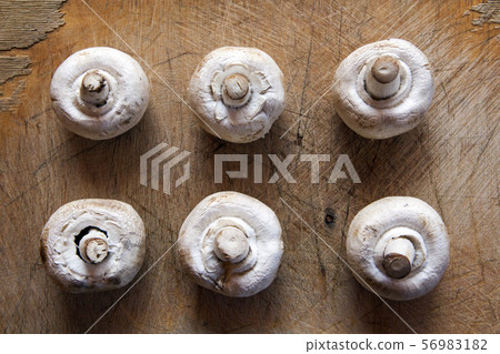 champignon mushroom sharp wooden background  56983182