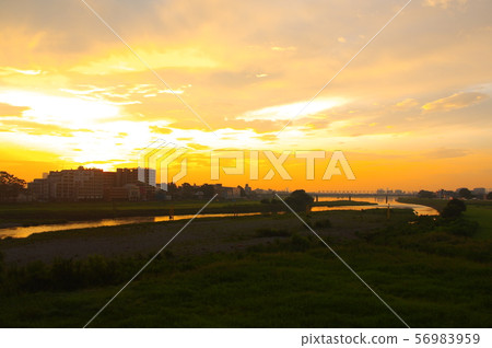 Sunrise from the Tamagawahara Bridge over Chofu City and Inagi City 56983959