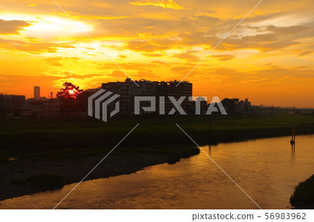 Sunrise from the Tamagawahara Bridge over Chofu City and Inagi City 56983962