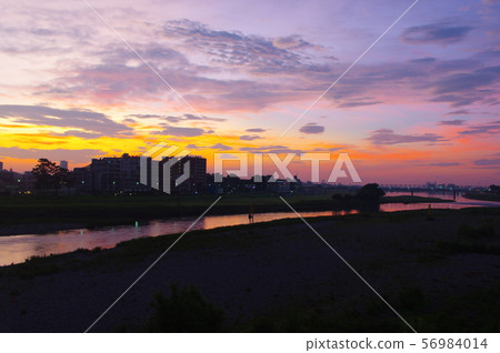 從調布市和稻城市的玉川大橋的日出 56984014