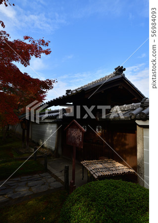 Autumn leaves of Kensenan Autumn leaves of Kensenan 56984093