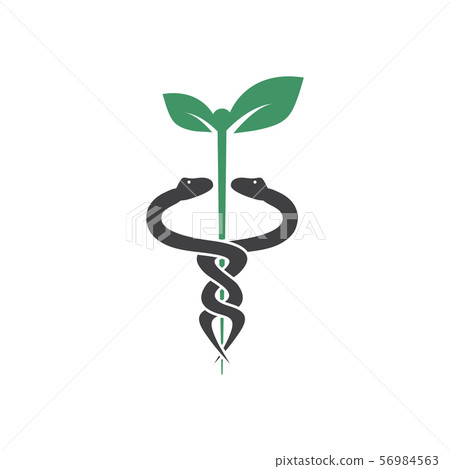 Medical snake graphic design template vector Medical snake graphic design template vector 56984563