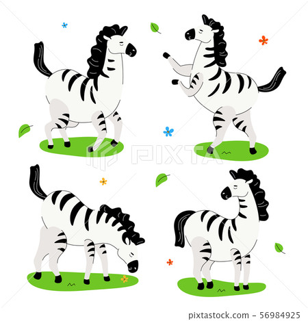 Cute zebra - flat design style set of cartoon characters 56984925