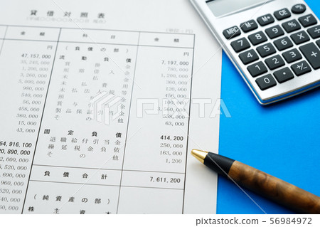 資產負債表財務報表業務單據會計核算 56984972