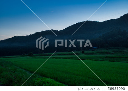 一個安靜的早晨 一個安靜的早晨 56985090