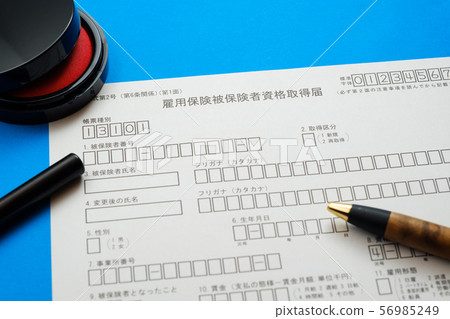 就業保險保險資格報告失業救濟金再就業 就業保險保險資格報告失業救濟金再就業 56985249