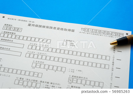 就業保險保險資格報告失業救濟金再就業 就業保險保險資格報告失業救濟金再就業 56985263