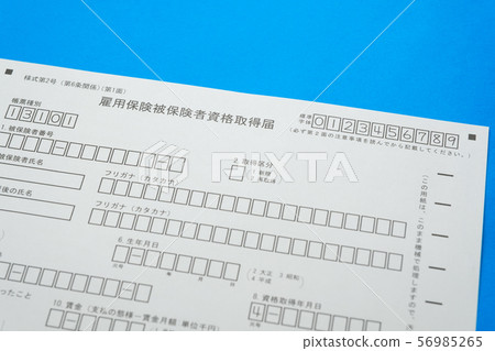 就業保險保險資格報告失業救濟金再就業 56985265