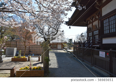 Yuiyoji Temple Fujisawa Yuiyoji Temple Fujisawa 56985651