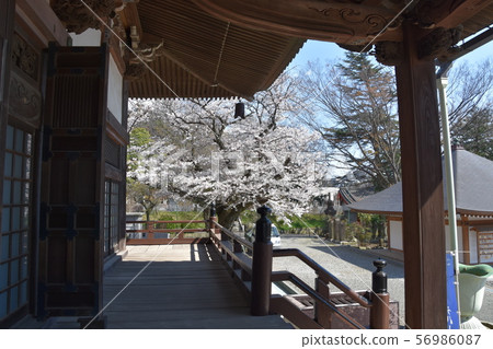 Yugyoji Temple Fujisawa 56986087