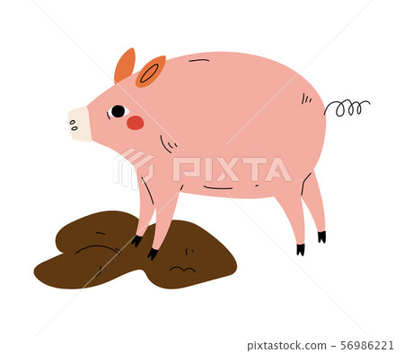 Pig in Dirty Puddle, Agriculture, Farm Animal Vector Illustration Pig in Dirty Puddle, Agriculture, Farm Animal Vector Illustration 56986221