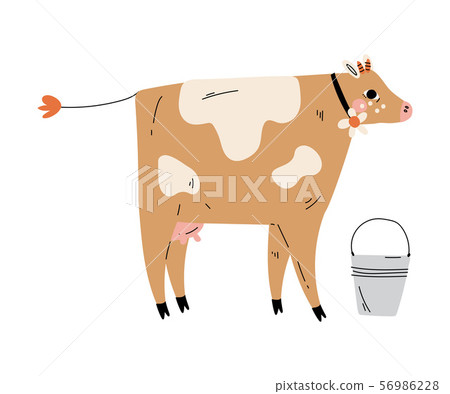 Spotted Cow and Bucket of Milk, Agriculture, Dairy Cattle Animal Husbandry Breeding Vector Spotted Cow and Bucket of Milk, Agriculture, Dairy Cattle Animal Husbandry Breeding Vector 56986228