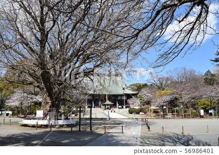 Yugyoji Temple Fujisawa Yugyoji Temple Fujisawa 56986401