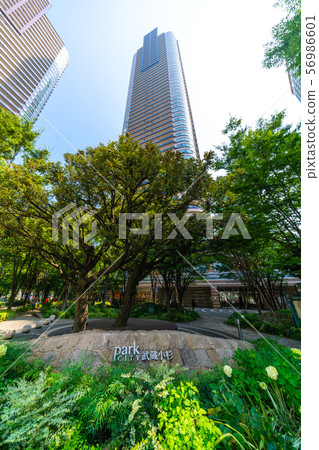 川崎都市風景看法在日本，Musashikosugi駐地，塔公寓 56986601