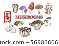 Mushrooms various materials 56986606