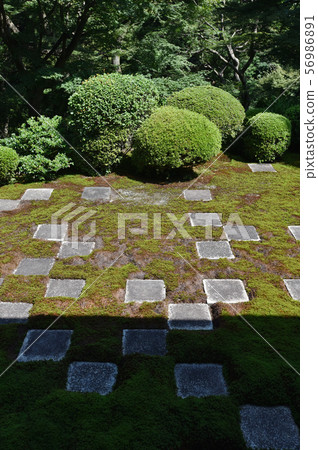 Tofukuji Temple 56986891