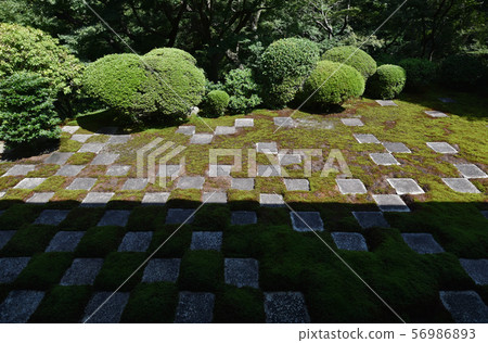 Tofukuji Temple 56986893
