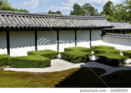 東福寺西園 東福寺西園 56986984