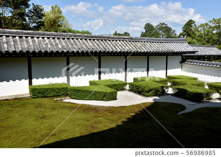 東福寺西園 56986985