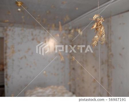 自然 自然 56987191